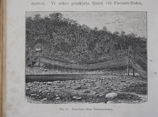 Lisan-bron öfver Pacuare-floden  del  Libro: "Resa I Central-Amerika 1881-1883" por Meyer X A, W (extranjero). Spöberg, A (extranjero)