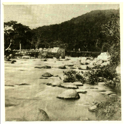 Puente de hamaca sobre el río Navarro en Orosi por Siemon, Otto