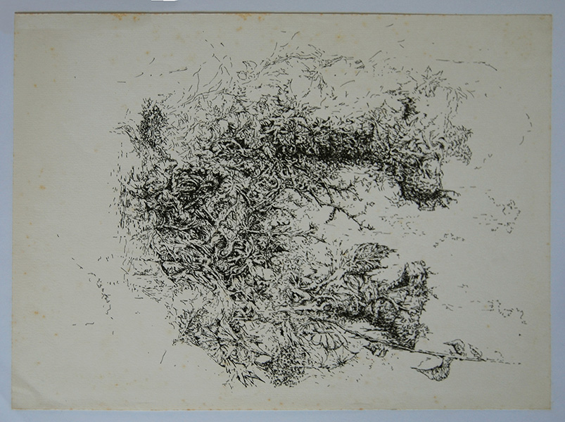 Ruinas por Ulloa Garay, Ricardo