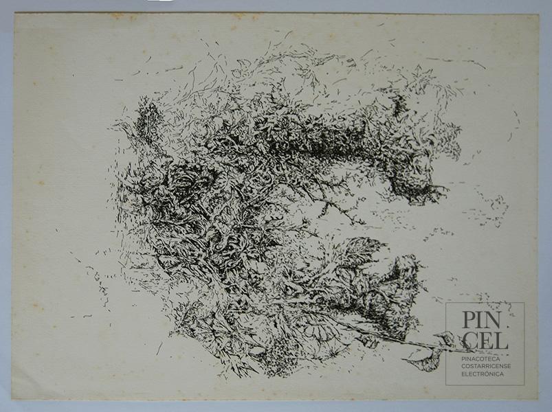 Ruinas por Ulloa Garay, Ricardo