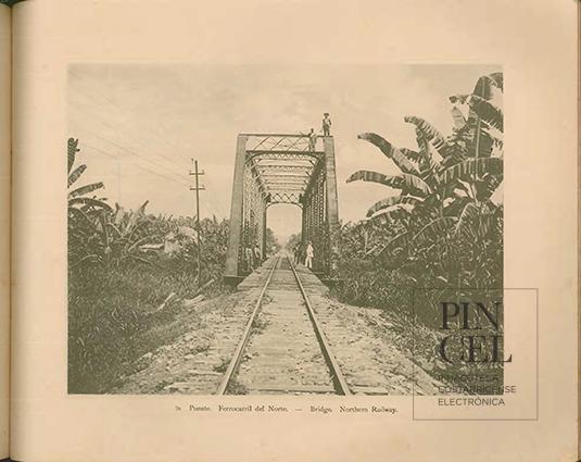Puente, ferrocarril del Norte por Zamora, Fernando. Documental